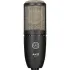 AKG P420 Dual-Capsule True Condenser Microphone